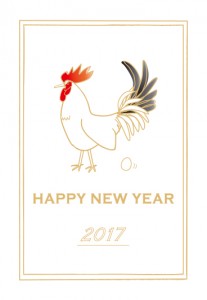 2017happy-new-year